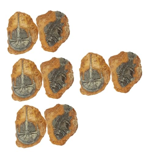 HAPINARY 8 STK simuliertes Harzfossil Meeresschildkrötenspielzeug Fossilien-Ausgrabungsset Grabset Reptile Decor Snake Box Ornaments Eidechsen kriechende Reptiliendekore Schlangenlandschaft von HAPINARY