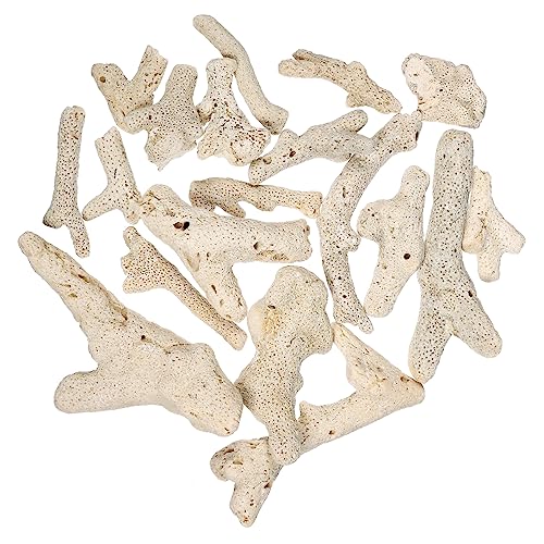 HAPINARY Aquarium Filtermaterial 500 g Dekorative Steine 3 Für Aquarien Zufällige Farben Biologisch Ideal Für üß Und Salzwasserfische Hochwertiges Filtermedium von HAPINARY