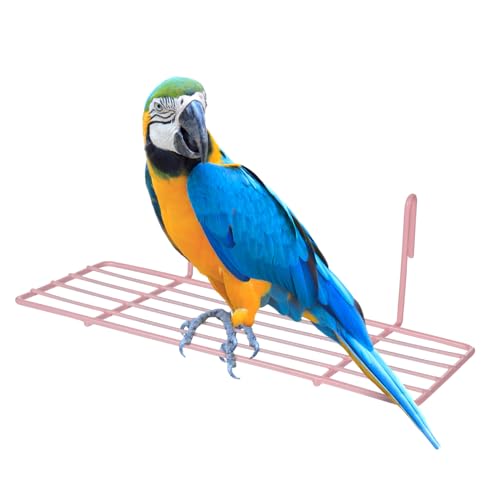 HAPINARY 1stück Eisenrahmen Hängeregal Für Vögel Einfaches Wanddekor Für Papageien Und Kleintiere Praktisches Und Stabiles Regal Zur Aufbewahrung Und Präsentation Von Kleinigkeiten HAPINARY 1stück Eisenrahmen Hängeregal Für Vögel Einfaches Wanddekor Für Papageien Und Kleintiere Praktisches Und Stabiles Regal Zur Aufbewahrung Und Präsentation Von Kleinigkeiten von HAPINARY