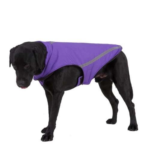 HAPINARY Haustier Outdoor-Kleidung Hundejacke Balken Reflektierendes Design Bequemer Hundemantel Größe XL von HAPINARY