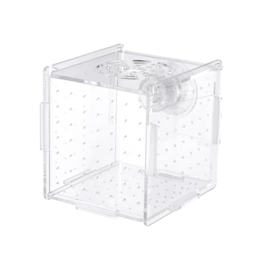 HAPINARY Aquarium Zuchtbox Vivipare Fische Zuchtbox doukyuusei hatchamals Halter für Aquarien Brutkasten für Fische Betta braten Zuchtbecken Terrarium von HAPINARY