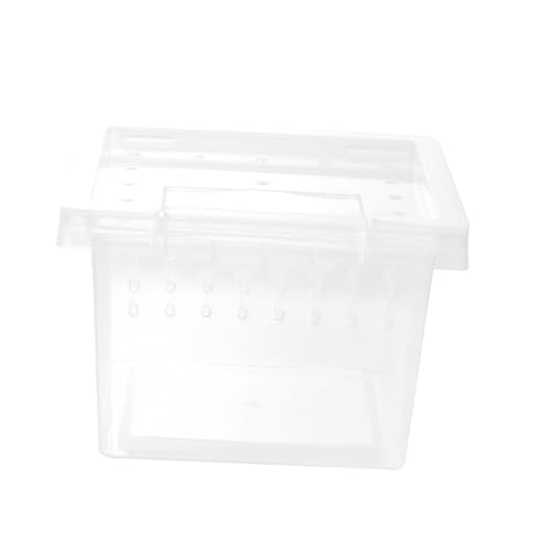 HAPINARY Kasten Aufzuchtbox Für Insekten Tragbarer Käfig Reptilienhalter Reptilienbecken-Terrarium Eidechsen-Terrarium Schlangenkäfige Amphibienkäfig Eidechsenkäfig Transparent Plastik von HAPINARY