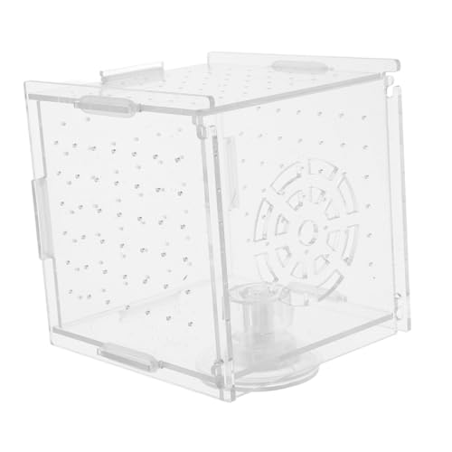 HAPINARY Kasten Isolationsbox Für Aquarien Garnelenzucht Aquarium-trennwand Fischzuchtbecken Zuchtnetz Für Aquarium Isoliertes Fischbecken Fischnetz-Isolierung Acryl Transparent von HAPINARY