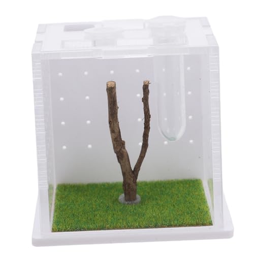 HAPINARY Futterbox für Springspinnen Acryl Insektenlebensraum Reptilienzuchtgehäuse Spinnen-Terrarium Beobachtungsfenster von HAPINARY