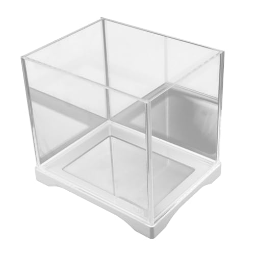 HAPINARY Kleines Fischbecken Einfache Fischschale Tischfischschale Hydroponisches Pflanzenterrarium Fischschalen Für Tafelaufsätze Hydrokultur-pflanzschale Mini-Aquarium Schale Vase Glas von HAPINARY