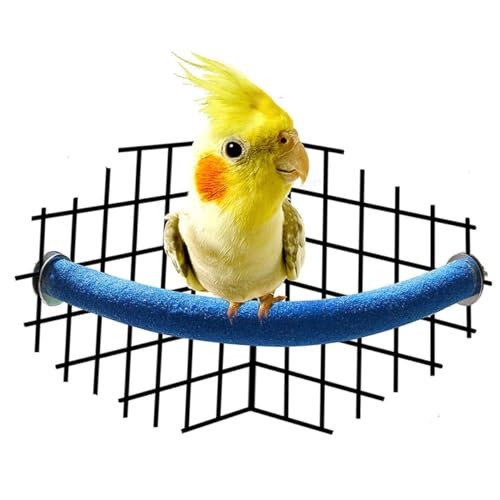 HAPINARY PRT Gripper Stick Hamster hamsterspielzeug papageienspielzeug vogelspielzeug nymphensittich Parrot Toys Taube Käfig Kaustange für Haustiere Vogel stehende Stangen Hölzern von HAPINARY