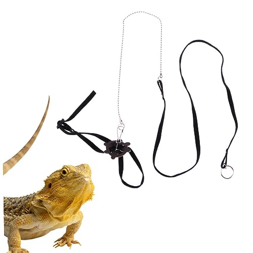 HAPINARY pet Supplies Pet safety Reptile Accessories haustierbedarf Pet leash Eidechsenleine Haustierzubehör Trainingsleine für Haustiere Reptilienleine kriechen Gurt Gürtel von HAPINARY