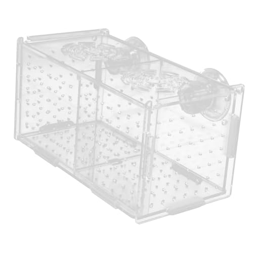 HAPINARY Aquarien Brutstätte für Artemia lebende Elritzen weiblicher Guppy lebender Hornwürmer Aquarium Zuchtbox Betta Isolationsbox Aquariumständer Kinderzimmer-Box braten von HAPINARY