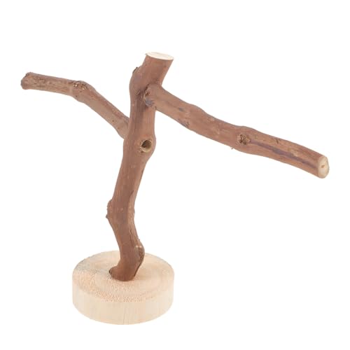 HAPINARY Einzigartiges Design Papagei Vogel Spielzeug Natürliche Traubenzweig Vogel Sitzstange 20cm Hoch Sicher Für Sittich Käfig Ara Spielzeug HAPINARY Einzigartiges Design Papagei Vogel Spielzeug Natürliche Traubenzweig Vogel Sitzstange 20cm Hoch Sicher Für Sittich Käfig Ara Spielzeug von HAPINARY