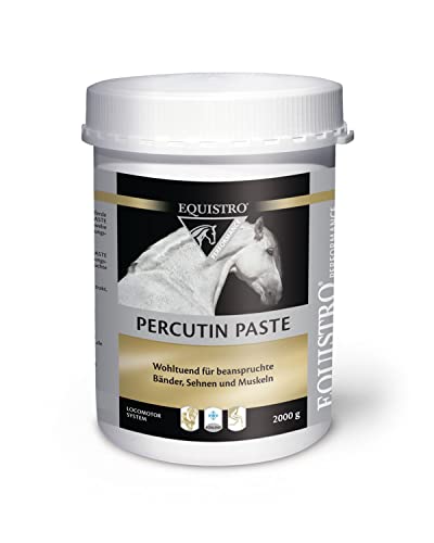 Vetoquinol Equistro Percutin Paste für Pferde bei Gelenkbeschwerden 2kg von HAPIPE