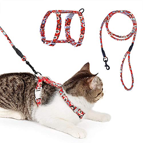 Einstellbar Katzengeschirr Nylon Gurt Sicher Haltbar mit Leine Entkommen Geschirr und Set für Kätzchen Kaninchen Hase Frettchen und kleine Haustier Tiere (M, Rot) von HAPPY HACHI