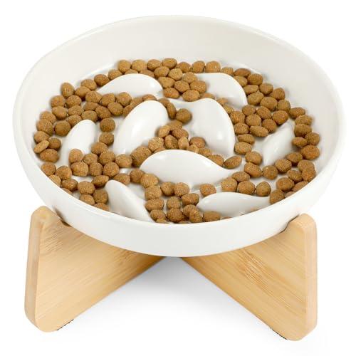 HAPPY HACHI Anti Schling Katzennapf Erhöht, Keramik Slow Feeder Katze Nassfutter, Langsam Fütterung Katze Futternapf rutschfest, Antischlingnapf für Katzen und Kleine Hunde (Weiß) von HAPPY HACHI