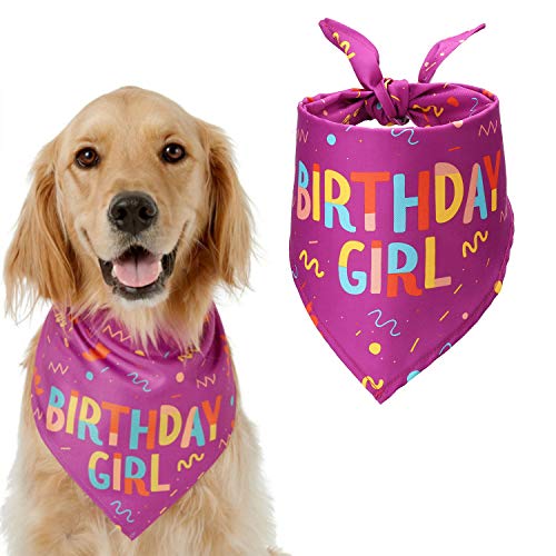 Geburtstag Hundehalstuch Hunde Bandana Weich Haustier Kopftuch Halstuch Dreieckig Lätzchen Taschentuch für Mittelgroß Hund Haustier Geburtstagsgeschenk Dekoration (Lila) von HAPPY HACHI