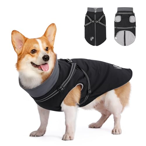 HAPPY HACHI Hundemantel Winter, Hundemantel Wasserdicht mit Geschirr, Reflektierender Streifen Design Haltbarer Doppelter D-Ring Hundjacke für Kleine Mittlere und Große Hunde (M) von HAPPY HACHI