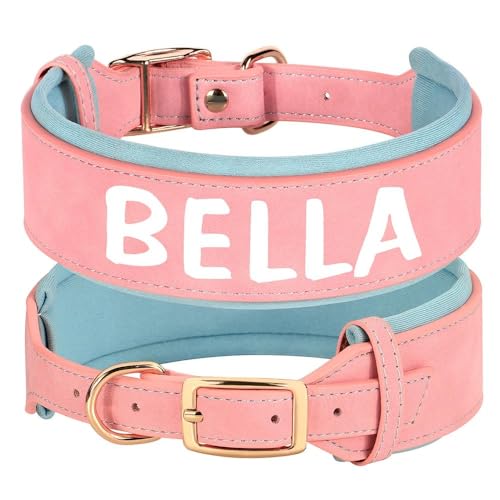 Breites Leder-Hundehalsband mit individueller Gravur, personalisierbar, für Ausweis, Name, Telefonnummer, gepolstertes Haustierhalsband für Französische Bulldogge, Labrador, Deutscher Schäferhund, A, Breites Leder-Hundehalsband mit individueller Gravur, personalisierbar, für Ausweis, Name, Telefonnummer, gepolstertes Haustierhalsband für Französische Bulldogge, Labrador, Deutscher Schäferhund, A, von YHTAKF