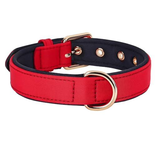 Einfarbiges Nylon-Hundehalsband, wasserdicht, gepolstert, atmungsaktiv, Haustierhalsband für Chihuahua, Mops, Schnauzer, Labrador, Französische Bulldogge, F, S Einfarbiges Nylon-Hundehalsband, wasserdicht, gepolstert, atmungsaktiv, Haustierhalsband für Chihuahua, Mops, Schnauzer, Labrador, Französische Bulldogge, F, S von YHTAKF