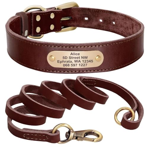 Hundehalsband aus Leder, mit Leine, personalisierbar, mit Namensschild, Halsband für Deutscher Schäferhund, Labrador, braunes Set, Größe L von HAQEPO