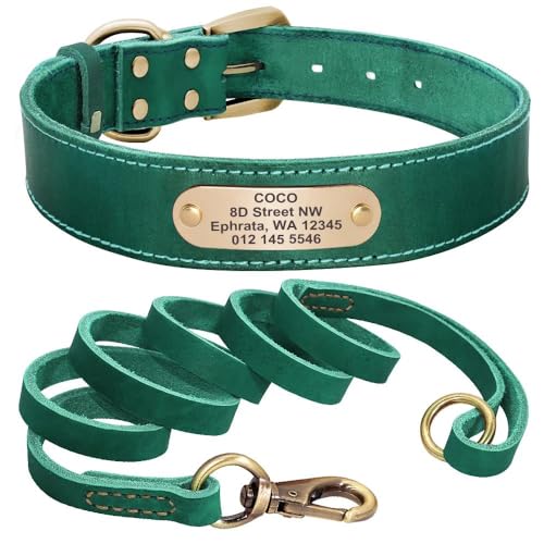 Hundehalsband aus Leder, mit Leine, personalisierbar, mit Namensschild, Halsband für Deutscher Schäferhund, Labrador, grünes Set, Größe M von HAQEPO