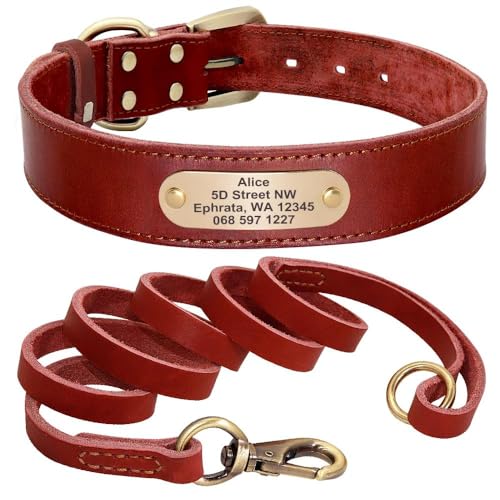 Hundehalsband aus Leder, mit Leine, personalisierbar, mit Namensschild, Halsband für Deutscher Schäferhund, Labrador, rotes Set, XXS von HAQEPO