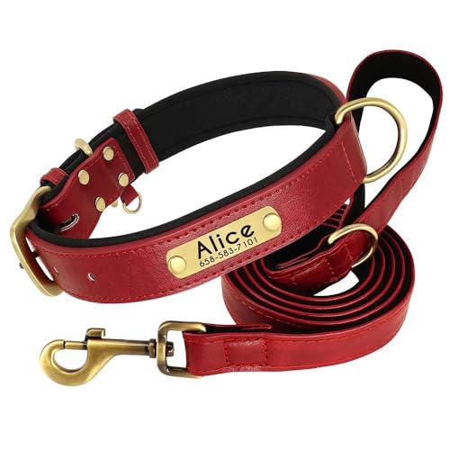 Hundehalsband und Leine, aus PU-Leder, individuell graviert, verstellbar, Anti-Verlust-Halsband und Leine, Set aus weichem und bequemem, einfarbigem Leder, Rot, Größe L von HAQEPO