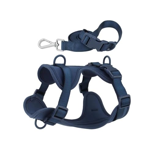 Outdoor-Hundetraining, Camping, Jagd, Geschirr Und Leine, Verstellbares Hundegeschirr Und Leine, Modisches, Wasserdichtes Nylon-Haustiergeschirr,A,M von HAQEPO