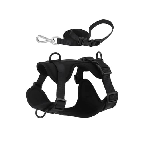 Outdoor-Hundetraining, Camping, Jagd, Geschirr Und Leine, Verstellbares Hundegeschirr Und Leine, Modisches, Wasserdichtes Nylon-Haustiergeschirr,D,L von HAQEPO