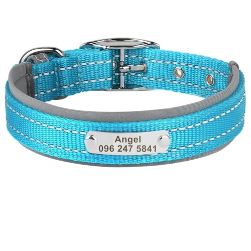 Personalisiertes Haustierhalsband für den Außenbereich, reflektierend, Nylon, Anti-Verlust, verstellbar, Katzen- und Hundemarke, Namensschild, Halsband für Chihuahua, Mops, Blau, Größe L von HAQEPO