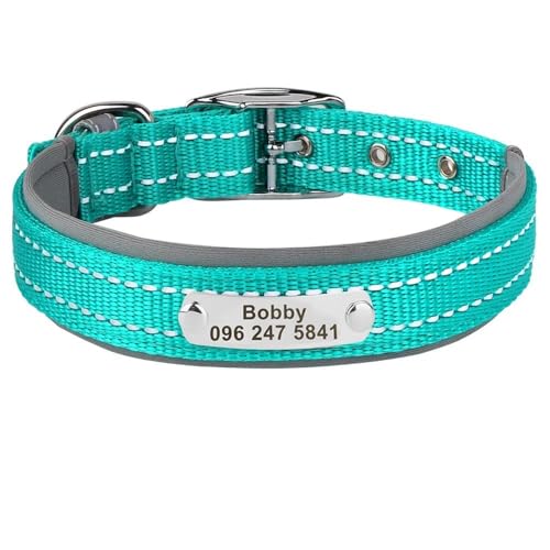 Personalisiertes Haustierhalsband für den Außenbereich, reflektierend, Nylon, Anti-Verlust, verstellbar, Katzen- und Hundemarke, Namensschild, Halsband für Chihuahua, Mops, Grün, Größe L von HAQEPO