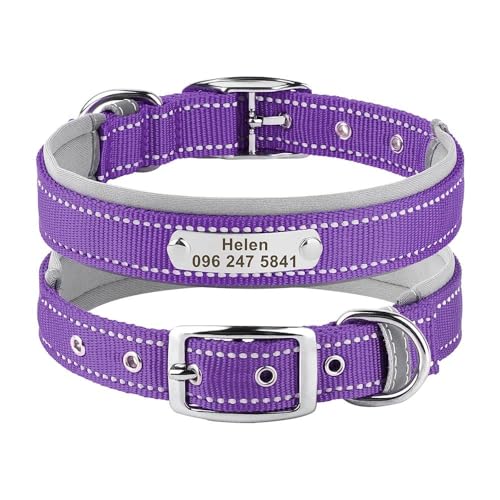 Personalisiertes Haustierhalsband für den Außenbereich, reflektierend, Nylon, Anti-Verlust, verstellbar, Katzen- und Hundemarke, Namensschild, Halsband für Chihuahua, Mops, Lila, Größe M von HAQEPO