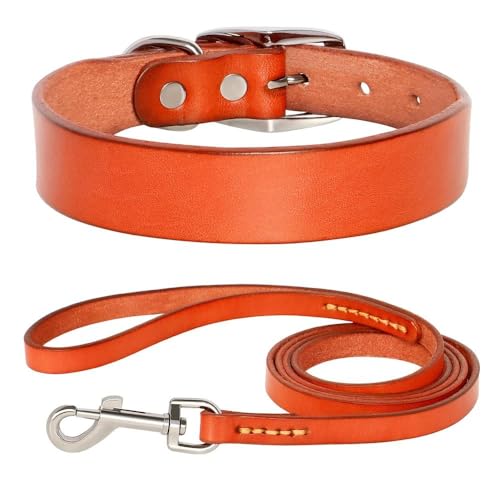 Verstellbares Hundehalsband und Leine, Set aus echtem Leder, Hundehalsband und Leine, weich und bequem, Haustierhalsband für Chihuahua, Mops, Labrador, Braun-Set, Größe S von HAQEPO