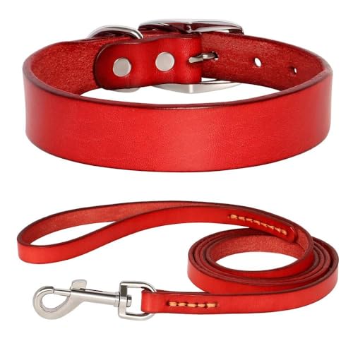 Verstellbares Hundehalsband und Leine, Set aus echtem Leder, Hundehalsband und Leine, weich und bequem, Haustierhalsband für Chihuahua, Mops, Labrador, Rot, Größe L von HAQEPO