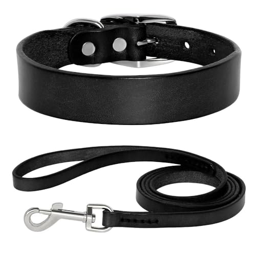 Verstellbares Hundehalsband und Leine, Set aus echtem Leder, Hundehalsband und Leine, weich und bequem, Haustierhalsband für Chihuahua, Mops, Labrador, Schwarz, Größe L von HAQEPO