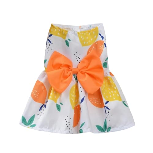 HARBINGG Hundepullover Pet Supplies Kleine Hund Blume Prinzessin Kleid Kitty Teddy Haustier Kleidung Netter Hund Rock Sommer Dünn-Orange-L von HARBINGG