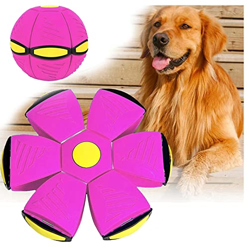 HARIPYER Fliegender Untertassenball, Haustier-Frisbee, Kreatives Dekomprimierendes Hundefrisbee, Kreatives Dekompressionsball-Haustierspielzeug Für Draußen, Grün – 1 Stück/Purple-1Pc von HARIPYER