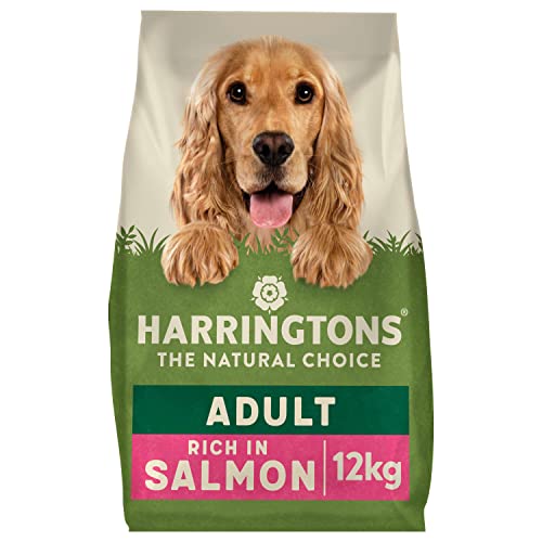 Harrington der Hund Futter komplett Trocken Mix ( salmon and potato )12 kg von HARRINGTONS