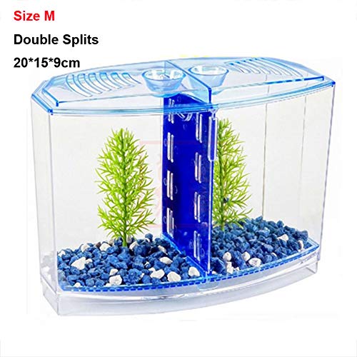 Aquarium Mini-Fischtank Aquarium Betta Box Transparente Fischzuchtbox Doppel Guppies Schlupf doppelschichtigen Inkubator Aquarien (Color : M Double Split, Size : Aquarium Breeder Box) von HASMI