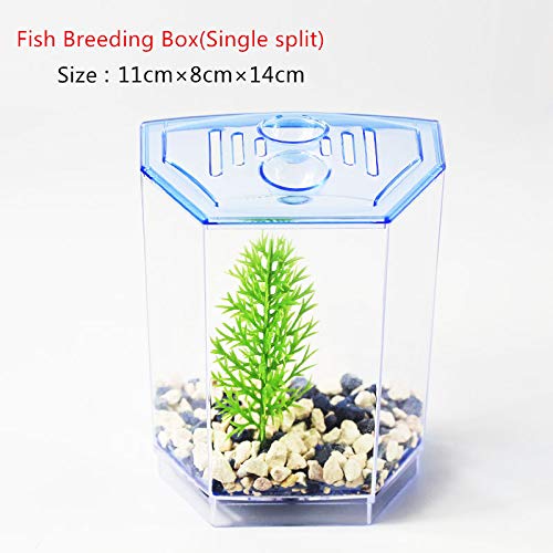 Aquarium Mini-Fischtank Aquarium Betta Box Transparente Fischzuchtbox Doppel Guppies Schlupf doppelschichtigen Inkubator Aquarien (Color : S Single Split, Size : Aquarium Breeder Box) von HASMI