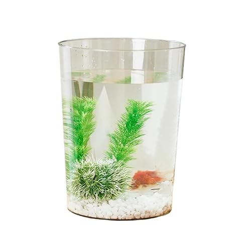 Pecera de escritorio Aquarium Kleines transparentes kreatives Aquarium Wohnzimmer Kleines Haushaltsaquarium Transparentes Goldfischbecken Schildkrötenbecken Desktop-Vase Decoración Pecera von HASMI