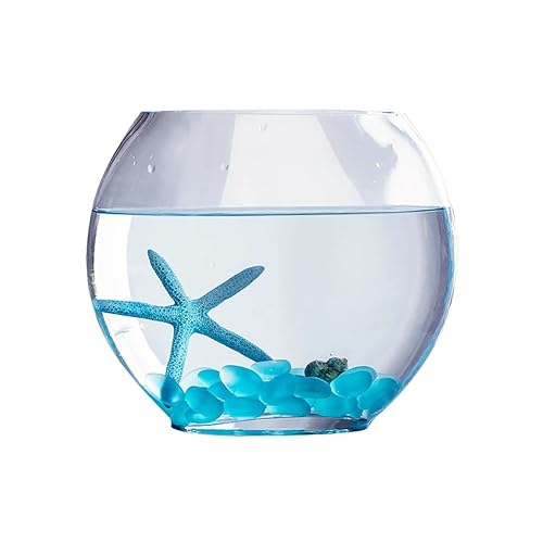 Pecera de escritorio Glas Aquarium Runde Verdickte Hydrokultur Goldfisch Tank Desktop Kleine Mini Schildkröte Tank Ball Hydrokultur Pflanze Aquarium Decoración Pecera von HASMI