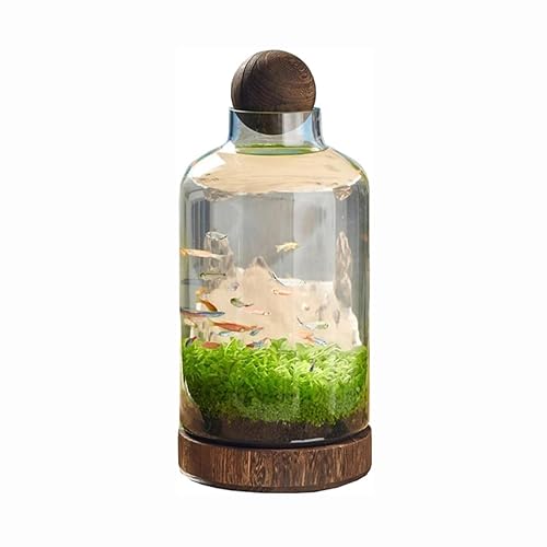 Pecera de escritorio Kreativer Wassertank, Hydrokulturpflanze, Aquarium, Wasser, Grassamen, Mikrolandschaft, ökologische Flasche, DIY ökologisches Glas-Aquarium Decoración Pecera von HASMI