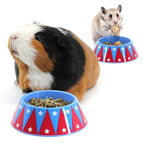 HAYPIGS Meerschweinchen Zubehoer und Spielzeug - Junior Food Craving Tamer im Zirkus-Look – Kleiner Meerschweinchen Napf – Meerschweinchen Futternapf – Futtertrog für Igel - Hamster Napf von HAYPIGS