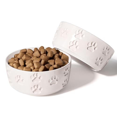 Keramik-Hundenapf-Set mit Anti-Rutsch-Ringen – 12,7 cm rund x 5,1 cm hoch, Set mit 2 Keramik-Hundenäpfen für kleine Hunde – kleine Hundenäpfe – Hundefutter und Wassernapf – weiße Hundenäpfe – von HB Design Co.