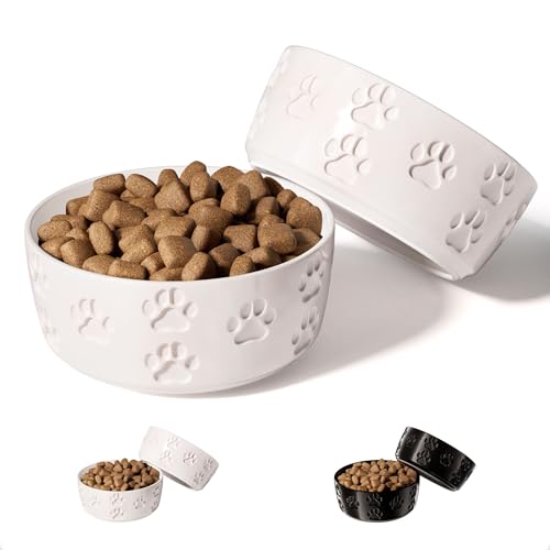 Keramik-Hundenapf-Set mit Anti-Rutsch-Ringen – 12,7 cm rund x 5,1 cm hoch, Set mit 2 Keramik-Hundenäpfen für kleine Hunde – kleine Hundenäpfe – Hundefutter und Wassernapf – weiße Hundenäpfe – von HB Design Co.