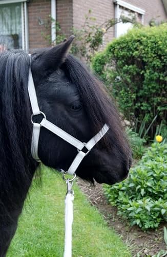 HB Lederen Shetland Halfter von HB