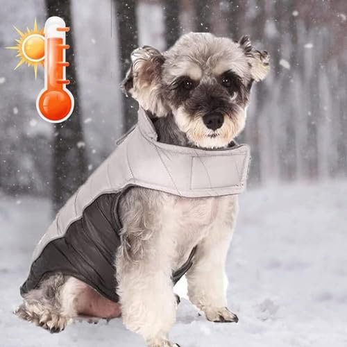 Hunde-Fleecejacke Winter, Hundemäntel klein, Jacke Hundemantel, Hundejacken Hund Kaltwettermantel, wasserdicht winddicht warme Hundeweste, Hund Wintermantel für kleine mittelgroße Hunde (XS, von HBJSP