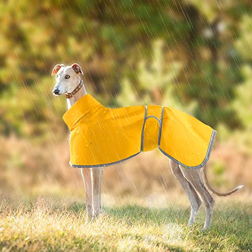 Windhunde-Regenmantel, leicht, wasserdicht, Windhundemäntel, wasserdicht, Whippet-Regenmantel, Windhunde-Regenmantel, Sommer-Winter-Regenmantel, Hundemäntel für Lurcher für mittelgroße und große Hunde von HBJSP