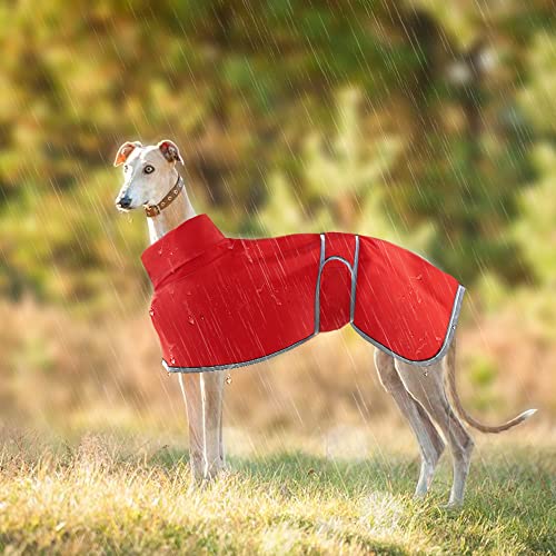 Windhunde-Regenmantel, leicht, wasserdicht, Windhundemäntel, wasserdicht, Whippet-Regenmantel, Windhunde, Sommer, Winter, Hundemäntel für Lurcher für mittelgroße und große Hunde (Größe M, Rot) von HBJSP