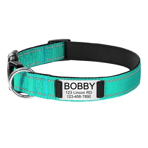 Graviertes Namensschild mit reflektierendem Hundehalsband, personalisierbares Nylon, leuchtendes Welpenhalsband, glänzend, groß, Unisex(Green 2,S 25-38cm) von HBJzxlOK