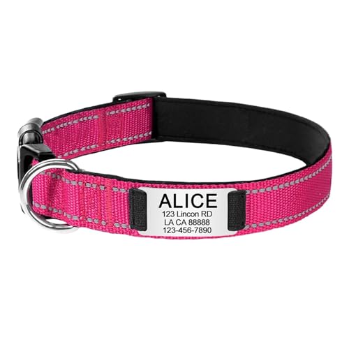 Graviertes Namensschild mit reflektierendem Hundehalsband, personalisierbares Nylon, leuchtendes Welpenhalsband, glänzend, groß, Unisex(Hot Pink,M 30-48cm) von HBJzxlOK