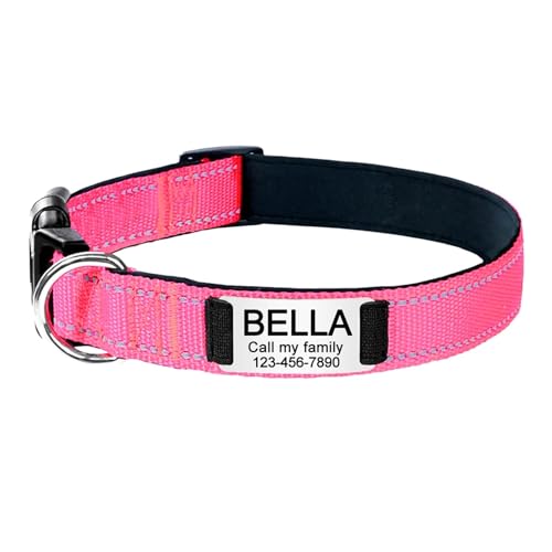 Graviertes Namensschild mit reflektierendem Hundehalsband, personalisierbares Nylon, leuchtendes Welpenhalsband, glänzend, groß, Unisex(Red 5,M 30-48cm) von HBJzxlOK